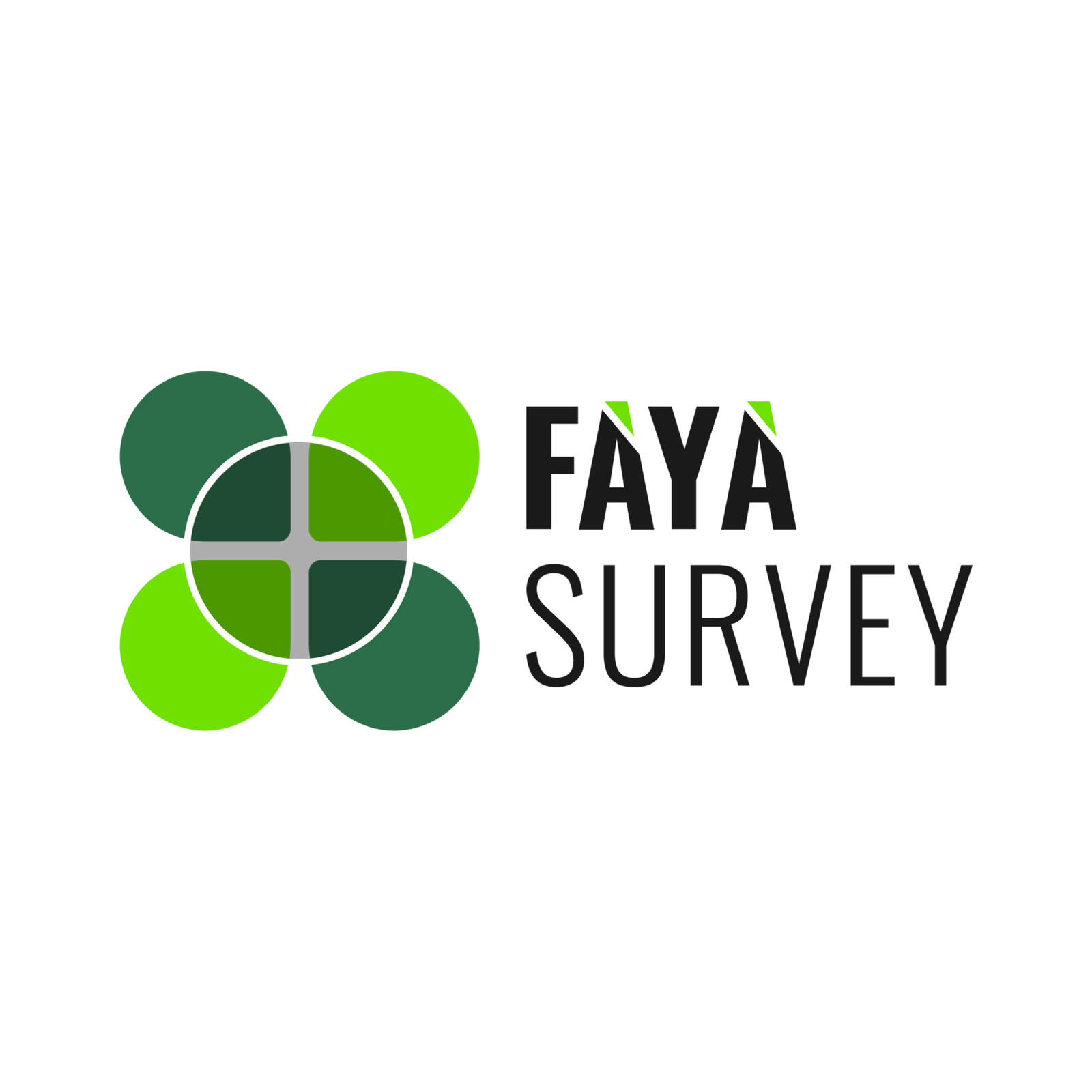 Faya Survey